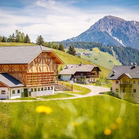산 마르티노 인 바디아 Agriturism Gscnara 아파트 외부 사진