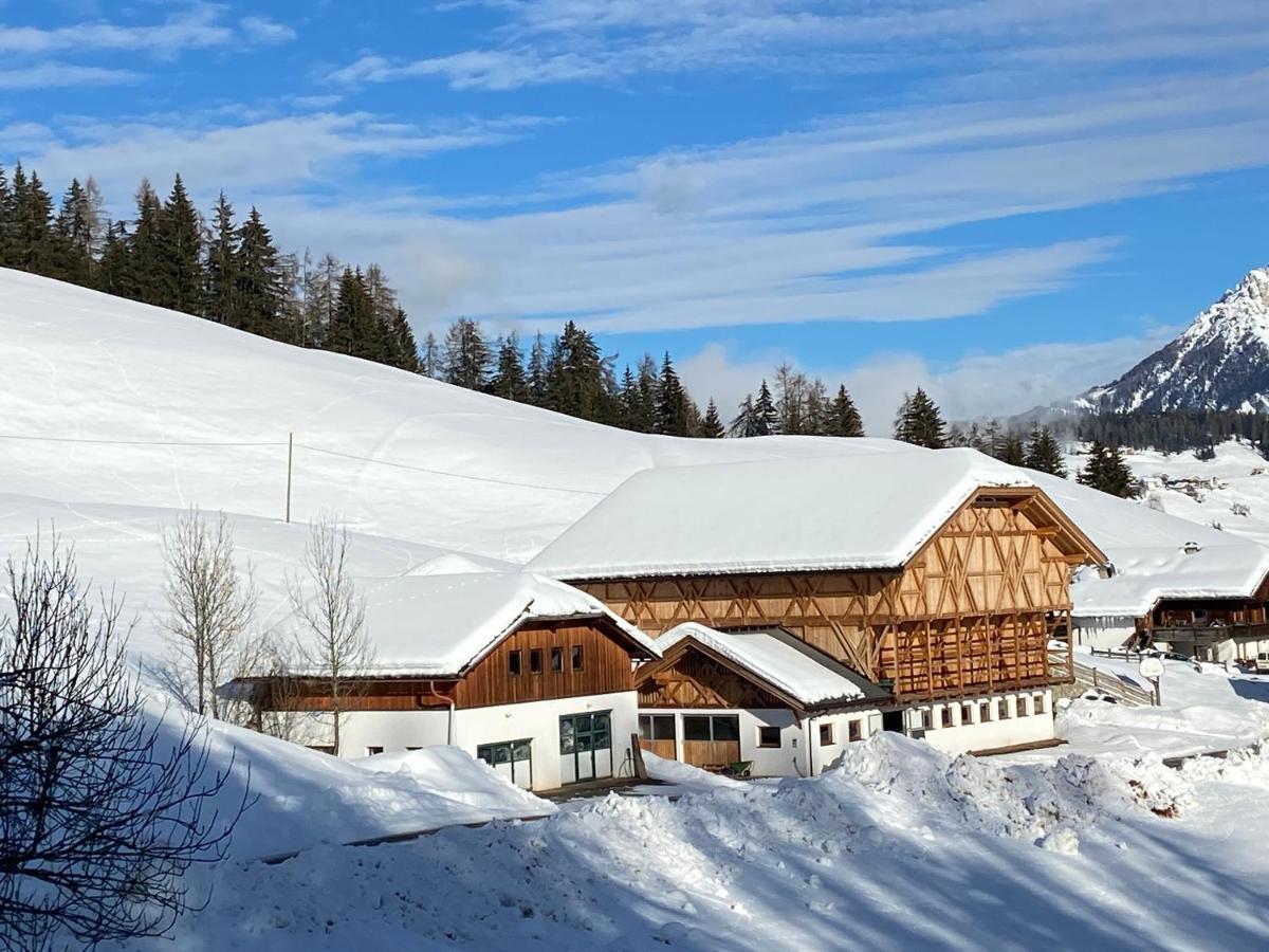 산 마르티노 인 바디아 Agriturism Gscnara 아파트 외부 사진