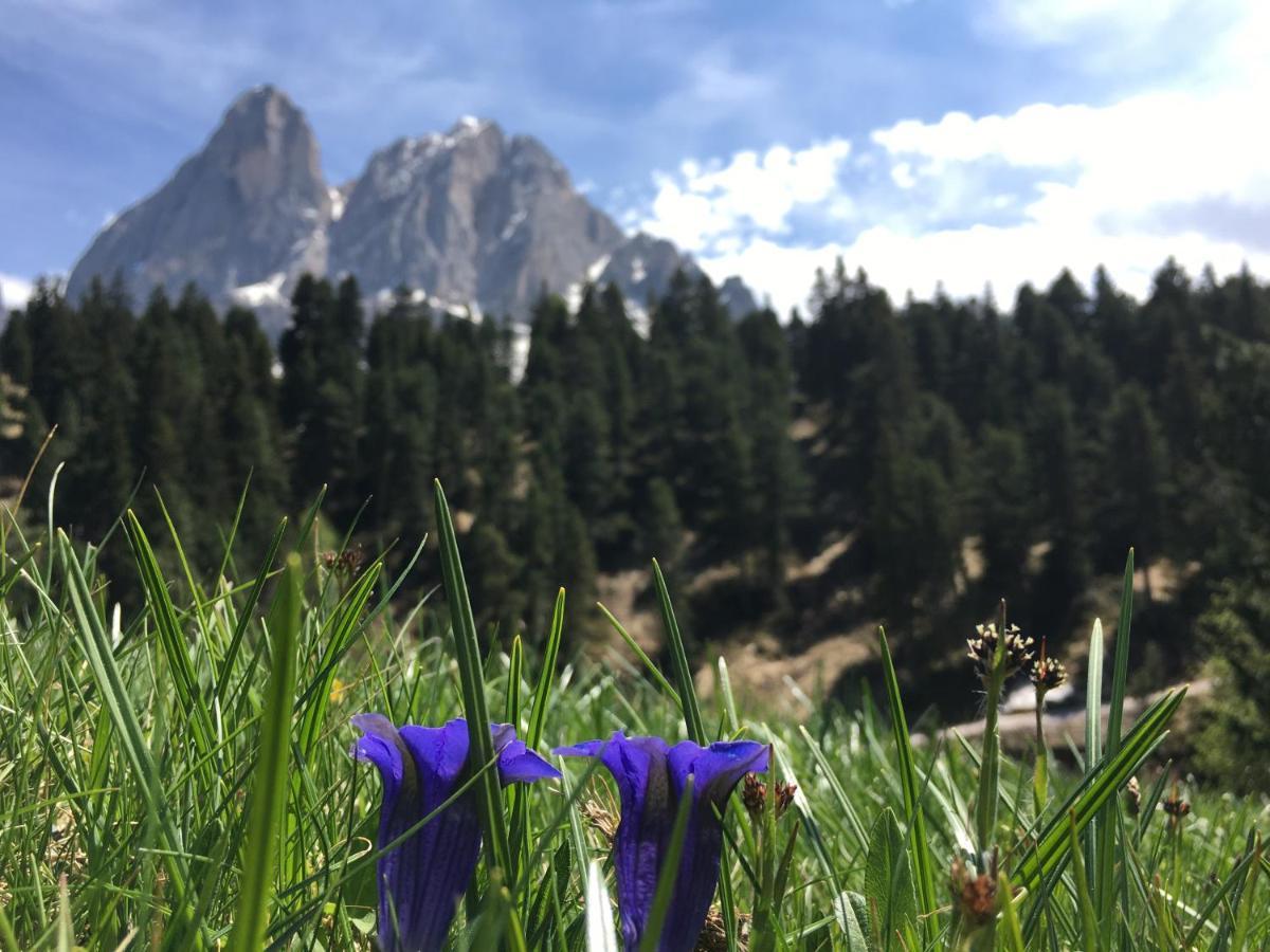 산 마르티노 인 바디아 Agriturism Gscnara 아파트 외부 사진